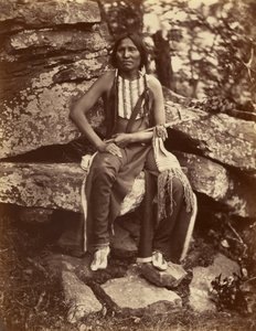 Lille bjørn, Cheyenne